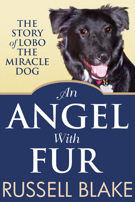 angel with fur-small